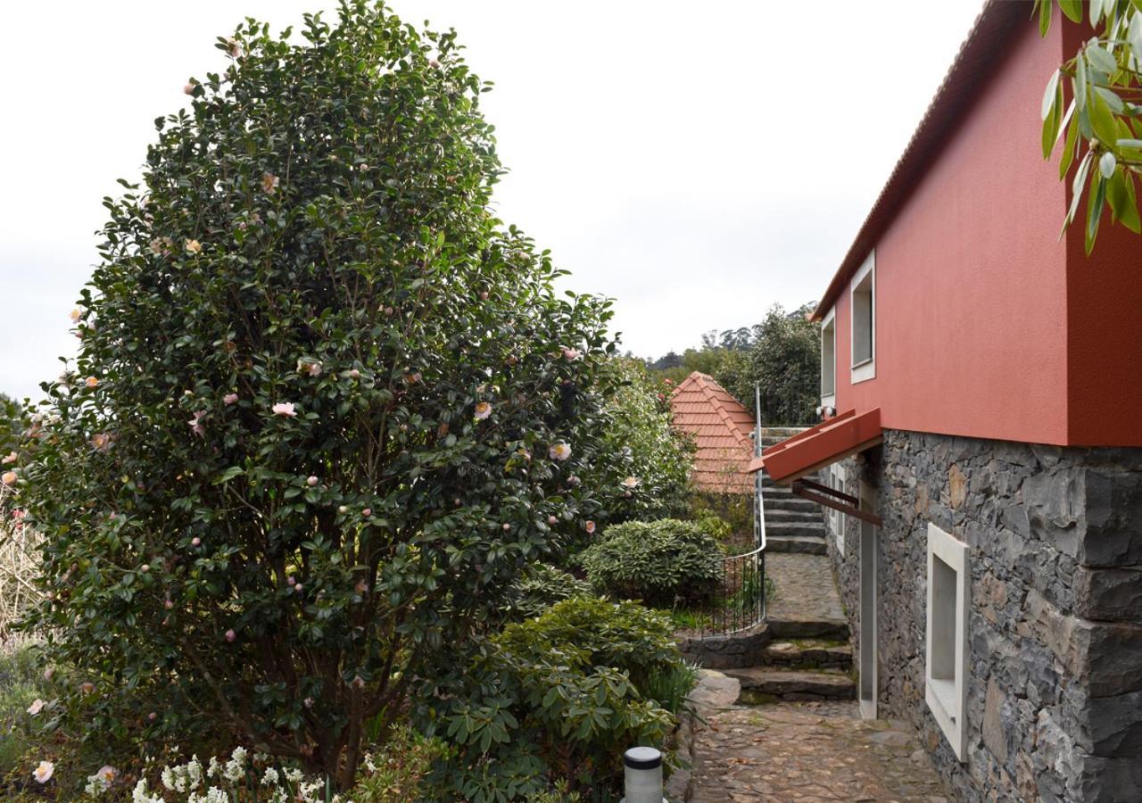 Casas De Pedra Camacha (Madeira) Exterior foto